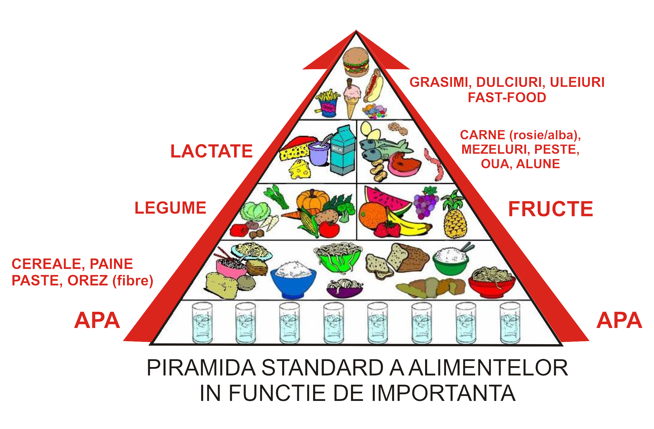 Cultura alimentației la grădiniță!